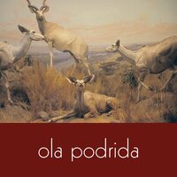 Jordanna - Ola Podrida