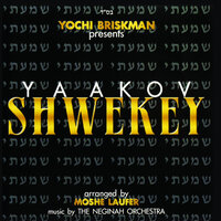 Hakol Koreh - Yaakov Shwekey