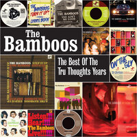 I Don't Wanna Stop - The Bamboos, Kylie Auldist