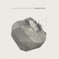 Constant - Andrew Marcus, Leeland