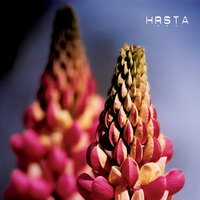 Holiday - Hrsta