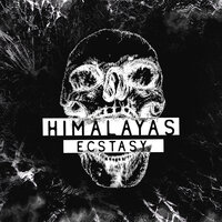 Ecstasy -