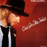 I Don't Want to Lose Your Love - Bobby Caldwell