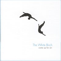Storm-Broken Tree - The White Birch