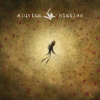 Leaves Eclipse The Light - Eluvium