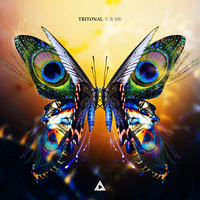 U Found Me - Tritonal