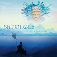 Once Upon a Sea of Blissful Awareness - Shpongle