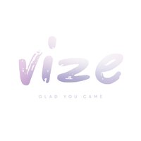 Glad You Came - VIZE