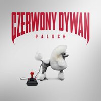 Czerwony dywan - Paluch