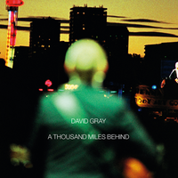 Go Down Easy - David Gray