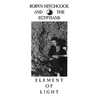 Bass - Robyn Hitchcock, The Egyptians