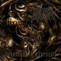Merely Parts Remain - Visceral Bleeding