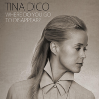 The Tip Of The Iceberg - Tina Dico