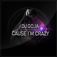 Cause I`m Crazy - Dj Goja