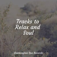 Deep Sleep - Pro Sound Effects Library, Academia de Música con Sonidos de la Naturaleza, Yoga Namaste