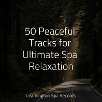 Calming Breeze - Spa Music Relaxation, Natureza, Sound Healing Center