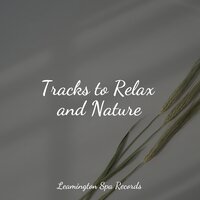 Calming Breeze - Sampling XL, White Noise Nature Sounds Baby Sleep, Rain Sounds Collection