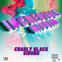 Charly Black - Sidung lyrics