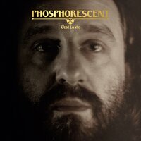 There From Here - Phosphorescent