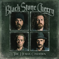 The Chain - Black Stone Cherry