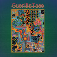 Walls of the Universe - Guerilla Toss
