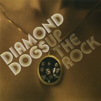 If I Ever Fall in Love with You - Diamond Dogs