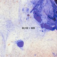 Now - Big Fox