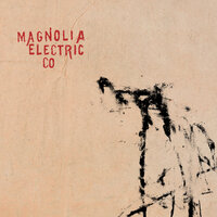 Don't This Look Like The Dark - Magnolia Electric Co.