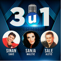 Klošar - Sinan Sakic