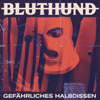 Die Stimme der Kaputten - Antifuchs, Bluthund