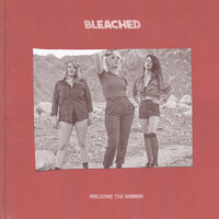 Desolate Town - Bleached