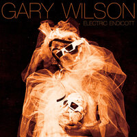 Secret Girl - Gary Wilson