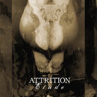 Into The Waves - Attrition
