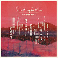 Miracle Cure - Something For Kate