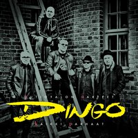 Nähdään taas - Dingo