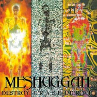 Soul Burn - Meshuggah