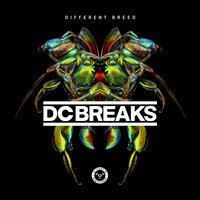 Everybody - Dc Breaks