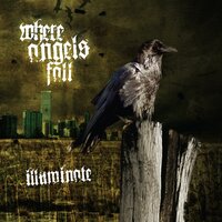 Withering Me - Where Angels Fall