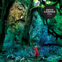 Help Me Out - Jacco Gardner
