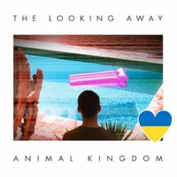 Skipping Disc - Animal Kingdom