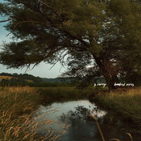 Meadow Song - S. Carey
