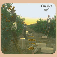 Removed - Calexico