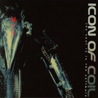 Violations - Icon Of Coil