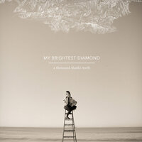 Bass Player - My Brightest Diamond