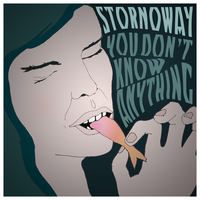 You Don't Know Anything - Stornoway