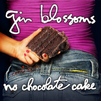 Don't Change For Me - Gin Blossoms