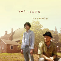 Shine On Moon - The Pines