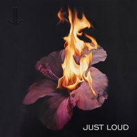 Diamonds and Dope Boys - Just Loud