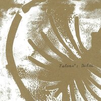 Collecting Things - Talons'