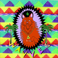 Linus Spacehead - Wavves